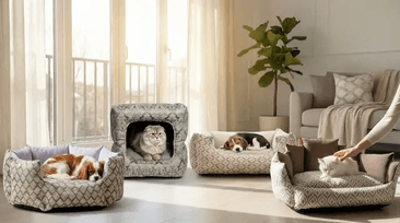 SweetDreams.pet landing page